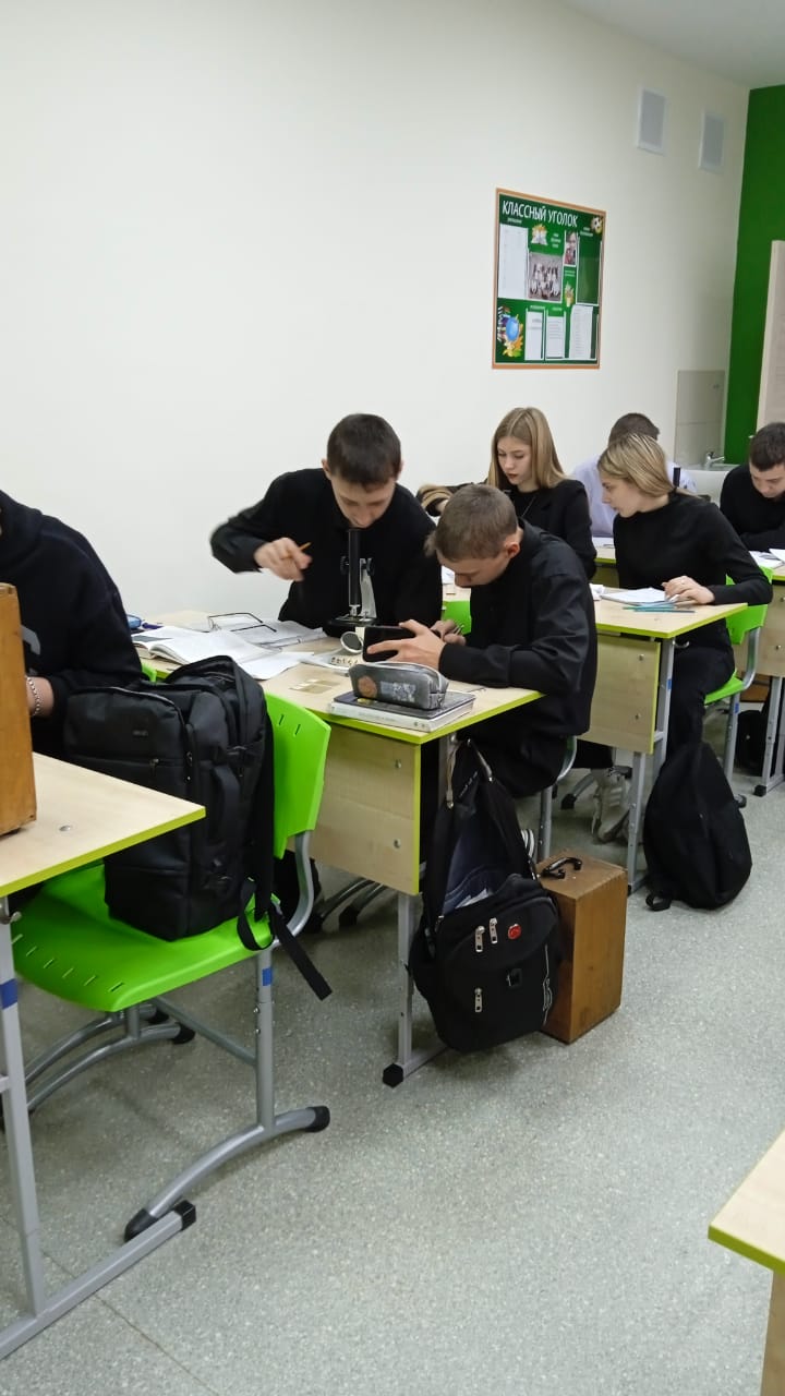 Изображение WhatsApp 2024-10-10 в 16.56.57_d7619747.jpg